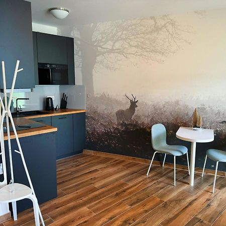 Horsky Apartman Klinovecke Louky 120-4 Loučná pod Klínovcem Exteriér fotografie